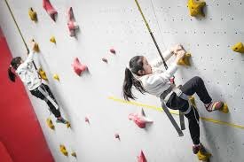 全国棒球联赛北京猛虎四年后重登顶 天津队无缘前3