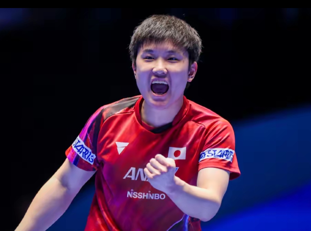 不仅展现了 不仅展现了